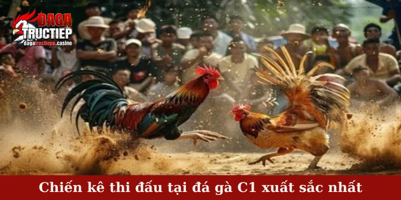 Chiến kê thi đấu tại đá gà C1 xuất sắc nhất