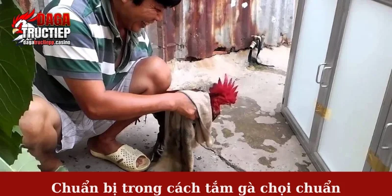 Chuẩn bị trong cách tắm gà chọi chuẩn