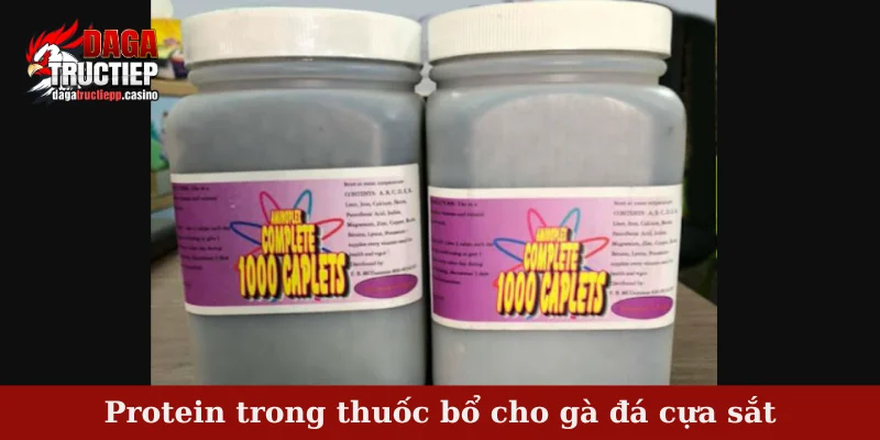 Protein trong thuốc bổ cho gà đá cựa sắt