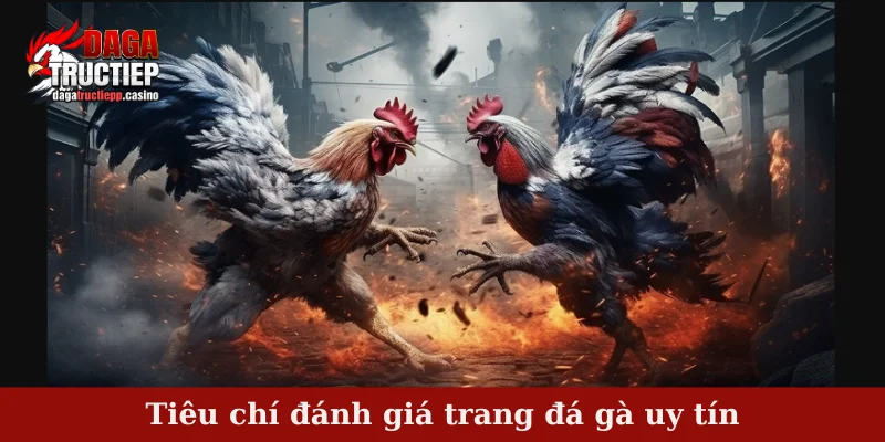 Tiêu chí đánh giá trang đá gà uy tín