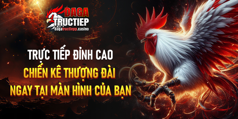 Các loại hình đá gà trực tiếp được phát sóng